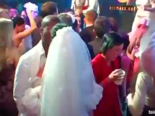 Exceptional turned on brides suck big cocks in public