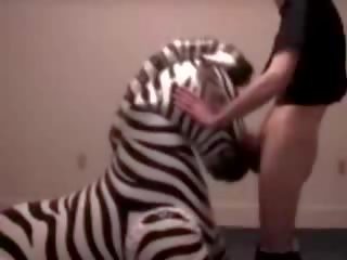 Zebra fica garganta fodido por perverter rachar clipe